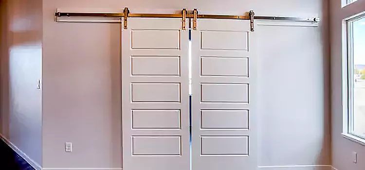 Glass Barn Door with Installation Hardware Kit Whitney