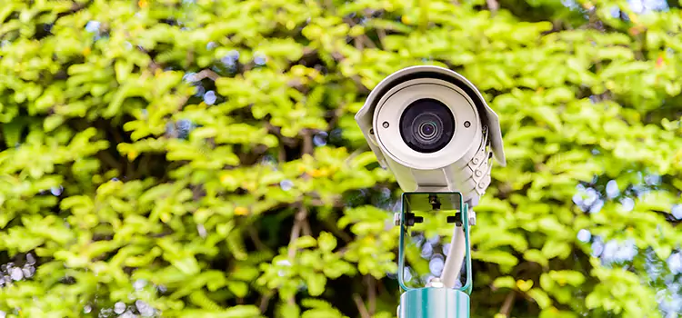 Advanced Surveillance Solutions for Every Need in Whitney