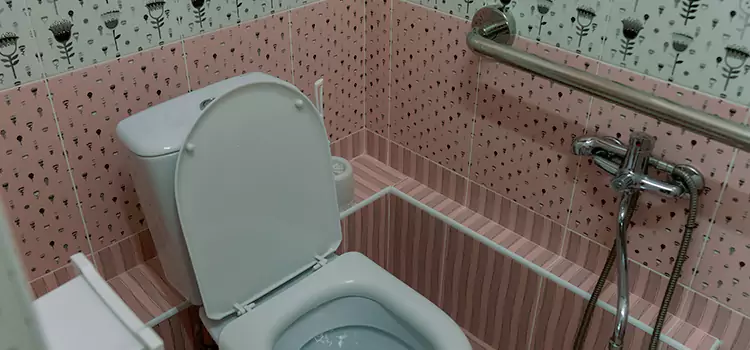 Meeting Diverse Needs With Accessible Restroom Solutions in Whitney, NV