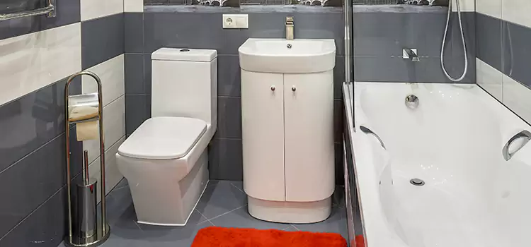 Hansgrohe Shaving Mirror Whitney