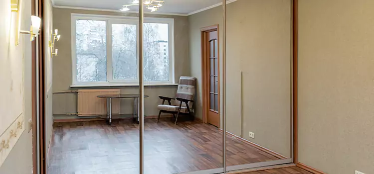 Mirror Closet Door Roller Replacement Whitney