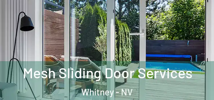 Mesh Sliding Door Services Whitney - NV