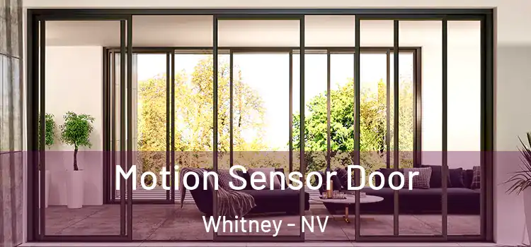 Motion Sensor Door Whitney - NV