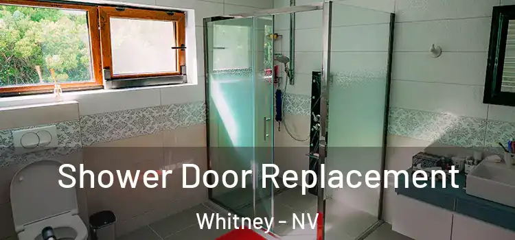  Shower Door Replacement Whitney - NV