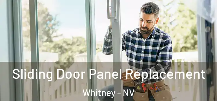  Sliding Door Panel Replacement Whitney - NV